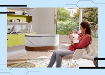 Everything You Need To Know About Snoo Rental in Sarasota