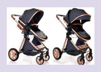 How To Save Money and Your Planet by Renting Baby Gear in Anna Maria, Venice ?