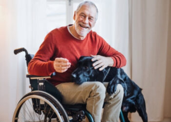 Planning a Vacation in Anna Maria Island? How Wheelchair Rentals Improve Accessibility for Seniors