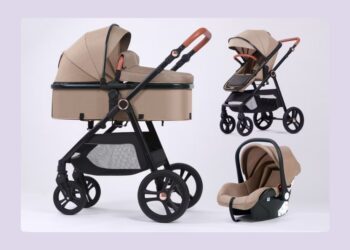 How Do You Choose Best Stroller Rental In Lakewood Ranch for Traveling With a Baby?