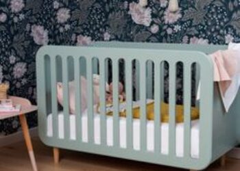 Snoo Bassinet Rental in Sarasota: A Game-Changer for Traveling Parents