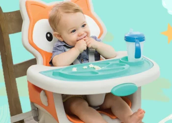 Reliable Feeding Seat Rental Online in St. Armands Beach