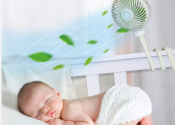 Vacationing in St. Armands? Don’t Forget to Rent a Snoo Crib!