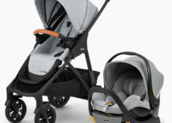Traveling with Two? Ultimate Double Stroller Rentals Guide for Siesta Key